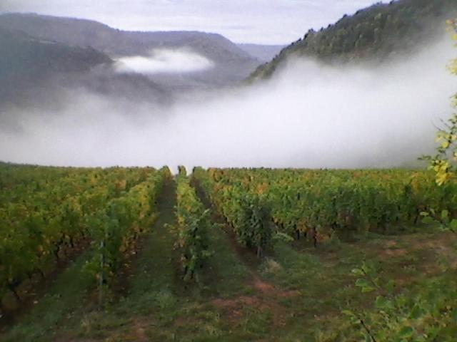 Maison Isolee Dans Les Vignes Et Les Bois Valady Exterior foto